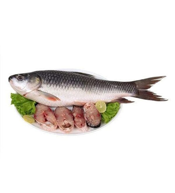 Fish Rohu