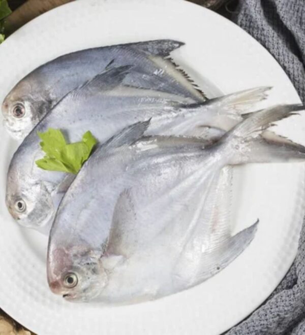 Fish Pomfret