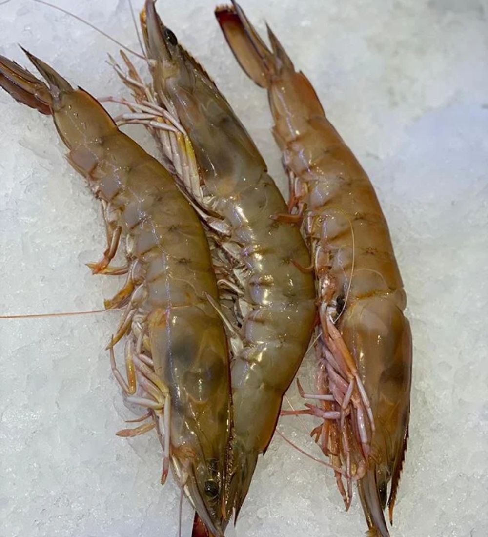 Large Prawns